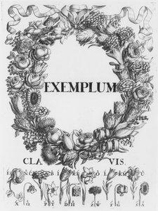 鲜花的语言，来自Cryptographia的插图，或Johann Balthasar Friderici的秘密文字，于1685年在汉堡出版 作者 德国学校