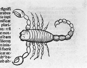 Le Scorpio - 在天使 Magnisconnectionibue 多年的革命及其完美的论文中。 奥格斯堡，艾哈德·拉多尔特 作者 德国学校