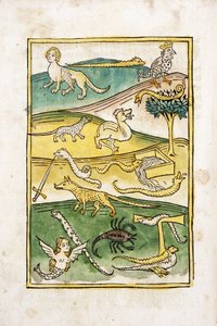 风景中的怪物和蛇，1478年 作者 德国学校