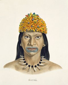 Mauhe部落的土着男子，头上有蓝色和橙色的小羽毛，来自巴西之旅的Atlas of Johann Baptist von Spix（1781-1826）和Karl Friedrich Philipp Martius（1794-1868） 作者 德国学校