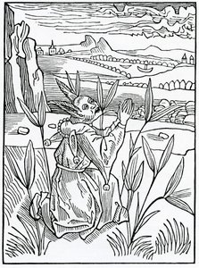关于inprofytable和vayne祈祷的誓言和小人物，来自Alexander Barclay的英文译本“愚人船”，摘自1874年出版的版本 作者 德国学校
