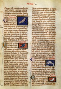 艾伯特·马格努斯（Albert Magnus，约 1200-1280 年）的《鸟类事物的本质》中的页面 作者 德国学校