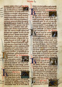 艾伯特·马格努斯（Albert Magnus，约 1200-1280 年）的《鸟类事物的本质》中的页面 作者 德国学校