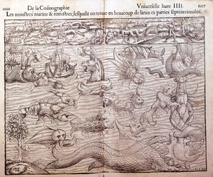 代表在北部地区发现的所有类型的海洋和陆地怪物的板块：Xylography 取自 Sebastian Munster 的 Universal Csmography。 包 作者 德国学校