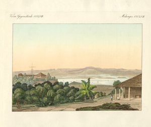 Pulu Penang（彩色雕刻）。 作者 德国学校