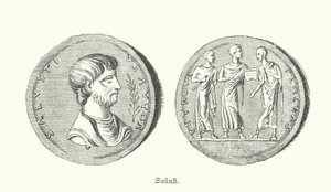 Sallust, Roman historian and politician (engraving) 作者 德国学校