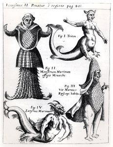 海怪，来自Physica Curiosa的插图，来自Gaspar Schott SJ（1608-66），出版了维尔茨堡1662 作者 德国学校