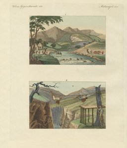 南美索桥（彩色雕刻） 作者 德国学校