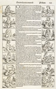 奇怪的人和生物"，插图选自《Liber chronicarum.Registrum hujus operis libri cronicarum...
