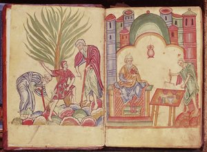 来自Apuleius Dioscorides的药剂师的艺术 作者 德国学校
