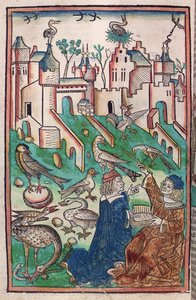 空气中的鸟类和生物，来自《健康园》的插图，1491年（彩色木刻）。 作者 德国学校