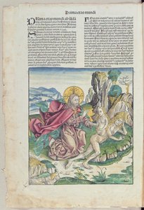 夏娃的诞生，来自Hartmann Schedel的“Liber Chronicarum”（1440-1514）1493（彩色木刻） 作者 德国学校