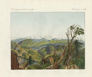 喜马拉雅山两景（彩绘版画 作者 德国学校