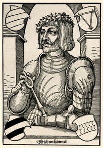 Ulrich von Hutten 作者 德国学校