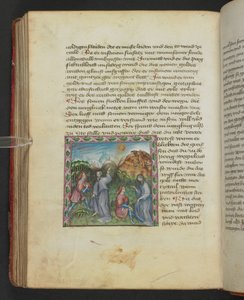乌尔里希·冯·波滕斯坦，《自然智慧之书》，Egerton MS 1121 f.114v，c.1430（羊皮纸上的墨水和颜色） 作者 德国学校