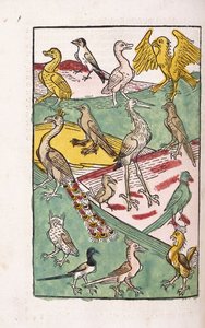 风景中的各种鸟类，1499年 作者 德国学校