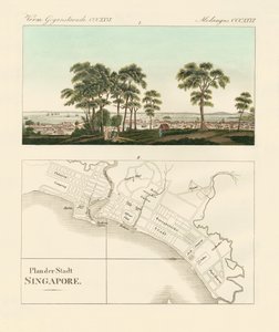 View and map of the East Indian establishment Singapore (coloured engraving) 作者 德国学校