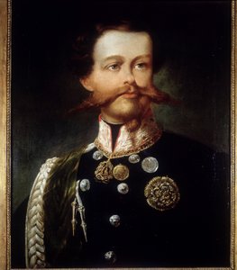 维克多·伊曼纽尔二世 (Victor-Emmanuel) (Vittorio Emanuele) (1820 - 1878) 的肖像，由杰罗拉莫 (Girolamo) Induno 创作。 复兴运动博物馆。 米兰。 作者 Gerolamo Induno