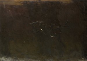水族馆里的鱼 作者 格里特·威廉·戴塞尔霍夫