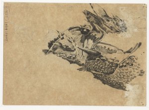 鬣蜥头 作者 格里特·威廉·戴塞尔霍夫