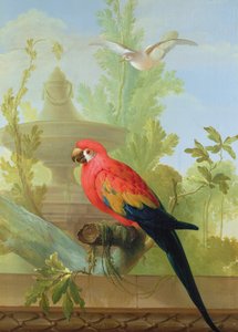 1772年，观赏花园中的金刚鹦鹉和鸽子 作者 格里特·范·登·休维尔