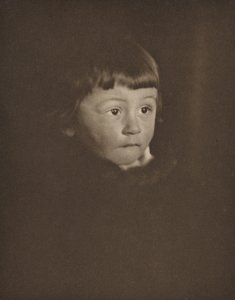 一个男孩的肖像》，1899 年（照片） 作者 格特鲁德奶酪啤酒
