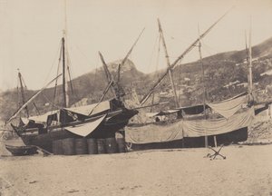 1855 年，萨勒内（照片）