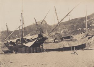 萨勒内，1855年。