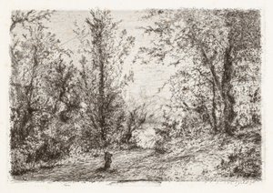 马焦雷湖上的森林 [Forest on Maggiore] 作者 Giberto Borromeo