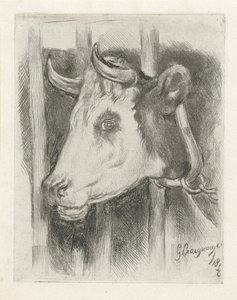 牛头 作者 Gijsbertus Craeyvanger