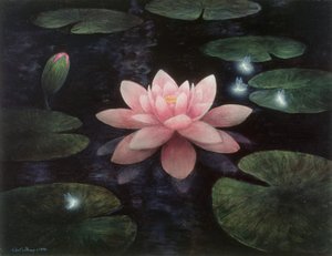 莲花精灵