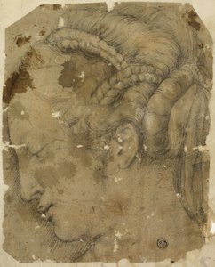 侧面左侧的女性头像 作者 乔治·瓦萨里（Giorgio Vasari）