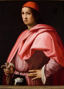 佛罗伦萨绅士肖像（木板油画（杨木板油画） 作者 乔治·瓦萨里（Giorgio Vasari）