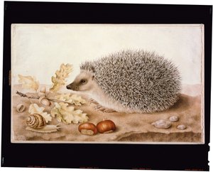 风景中的刺猬（牛皮纸上的彩色画）。