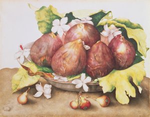 叶子上的无花果 作者 乔万娜·加佐尼（Giovanna Garzoni）