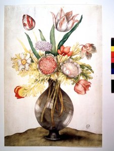 罂粟，郁金香和牡丹。 Giovanna GARZONI在画布上的油 作者 乔万娜·加佐尼（Giovanna Garzoni）