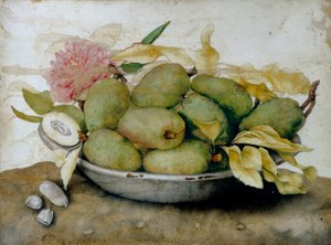 一盘枇杷、杏仁和玫瑰 作者 乔万娜·加佐尼（Giovanna Garzoni）