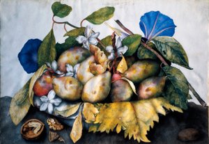 一盘李子、茉莉和坚果 羊皮纸上的绘画 Giovanna Garzoni (1600-1670) 作者 乔万娜·加佐尼（Giovanna Garzoni）