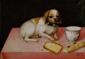 一只狗的肖像（布面油画 作者 乔万娜·加佐尼（Giovanna Garzoni）