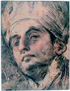 人像研究，c1676-1727 作者 乔凡尼·安东尼奥·佩莱格里尼