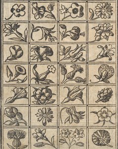 Recammi的例子，第10页背面，1530年。