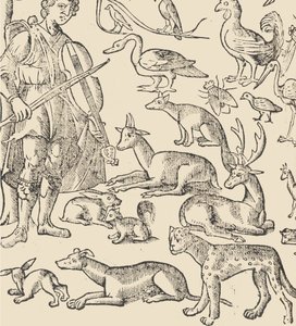重塑的例子，第12页背面，1530年。