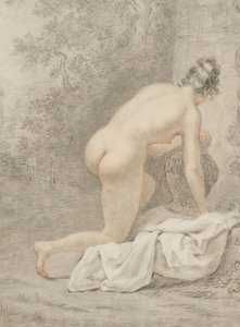 若虫