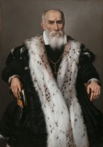 吉安·吉罗拉莫·阿尔巴尼（Gian Girolamo Albani）肖像1504-1591，1573年。 作者 乔瓦尼·巴蒂斯塔·莫罗尼