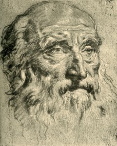 老人头，18世纪中叶，1928年 作者 乔凡尼·巴蒂斯塔·提埃波罗