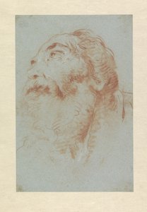 老人的头 作者 Giovanni-Battista Tiepolo