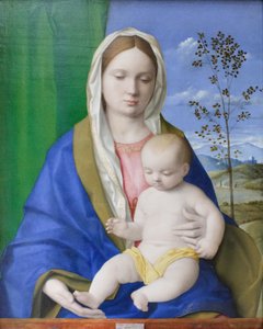 圣母与圣婴，约 1500 年（油画板） 作者 乔凡尼·贝里尼（Giovanni Bellini）