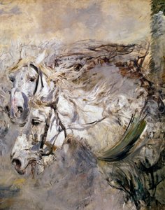 两匹白马 乔万尼-波尔迪尼(1842-1931)的画作 1874年 昏暗。153x122厘米 皮斯托亚，波尔迪尼收藏品 作者 乔凡尼·博尔迪尼（Giovanni Boldini）