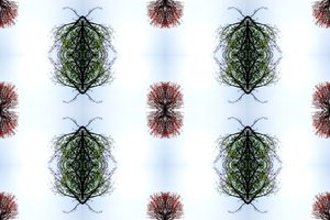 Unnatural 110 (digitally manipulated photo)