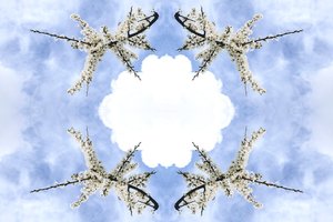非自然115（数字处理过的照片